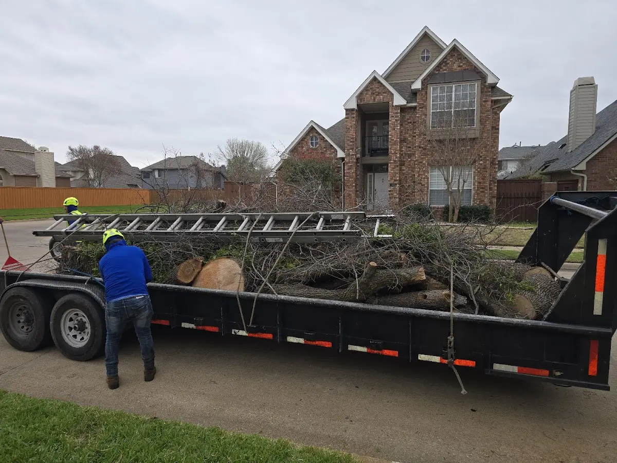 Expert Lot Clearing with proper safety equipment in Rena Lara